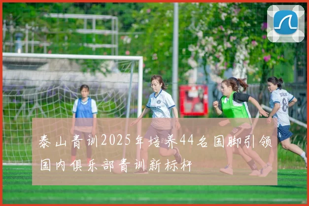 泰山青训2025年培养44名国脚引领国内俱乐部青训新标杆