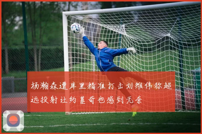 杨瀚森遭库里精准打击刘维伟称超远投射让约基奇也感到无奈
